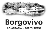 Borgovivo