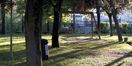 Camp Dancity