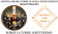 Borgo la Torre