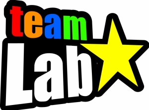 Teamlab-Net